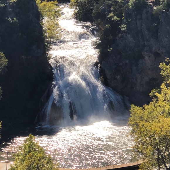 Meet your Posher, Dedee - Picture 1 of 1